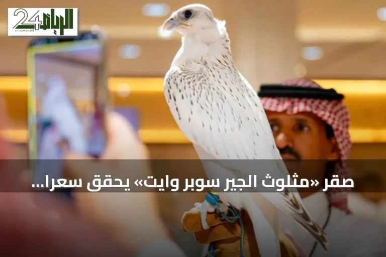 صقر «مثلوث الجير سوبر وايت» يحقق سعرًا قياسيًا بـ1.3 مليون ريال في المزاد الدولي 2026