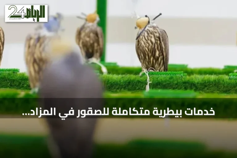 خدمات بيطرية متكاملة للصقور في المزاد الدولي لإنتاج الصقور 2026