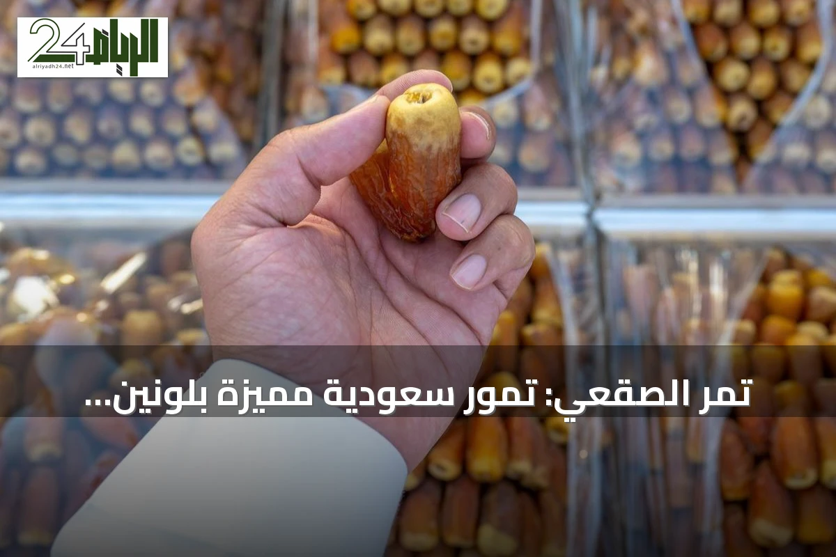 تمر الصقعي: تمور سعودية مميزة بلونين ونكهة فريدة