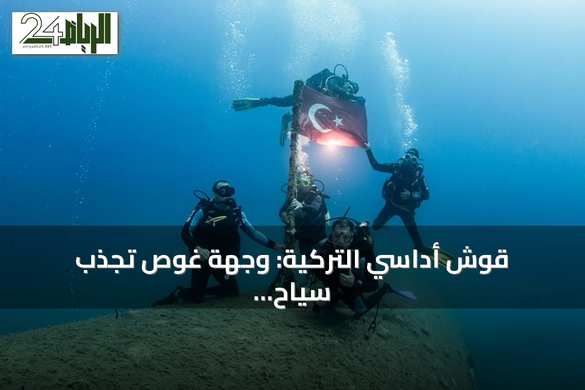قوش أداسي التركية: وجهة غوص تجذب سياح السفن لاستكشاف كنوز بحر إيجة