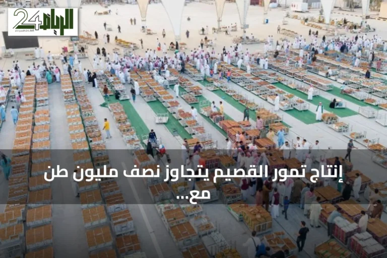 إنتاج تمور القصيم يتجاوز نصف مليون طن مع توسيع الوجهات الموسمية ومنصة أسواق موسمية