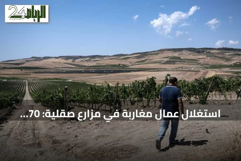 استغلال عمال مغاربة في مزارع صقلية: 70 ساعة عمل أسبوعياً مقابل يورو لكل صندوق