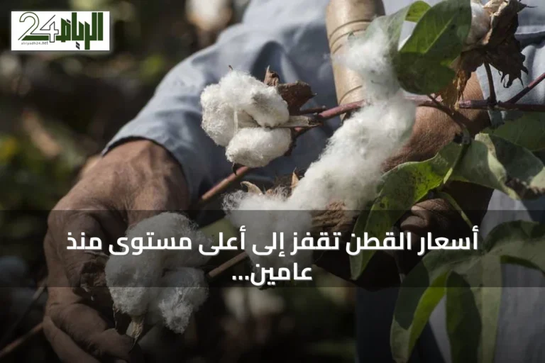 أسعار القطن تقفز إلى أعلى مستوى منذ عامين مع مخاوف الإمداد الأمريكي