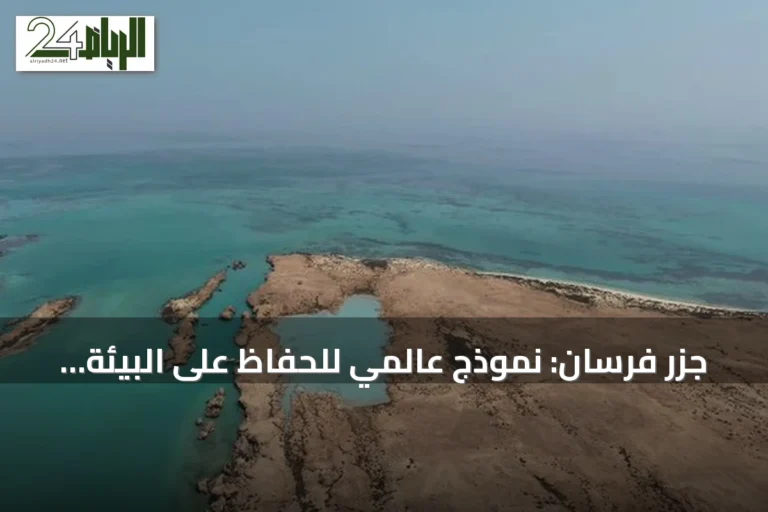 جزر فرسان: نموذج عالمي للحفاظ على البيئة وتنوع بيئي فريد في جازان