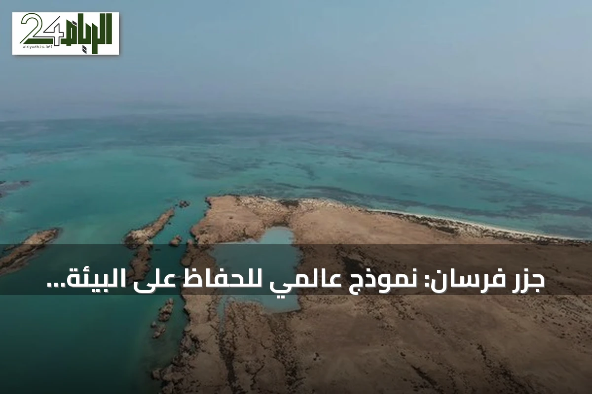 جزر فرسان: نموذج عالمي للحفاظ على البيئة وتنوع بيئي فريد في جازان