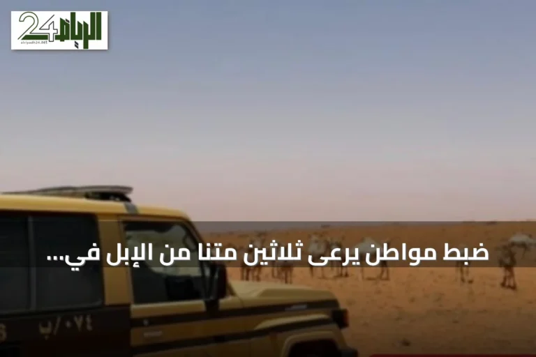 ضبط مواطن يرعى ثلاثين متنًا من الإبل في مناطق محظورة بمحمية الإمام تركي بن Abdullah