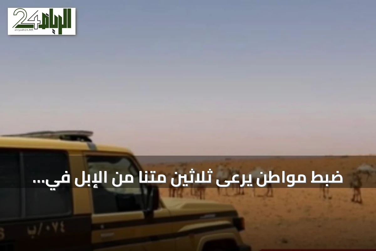 ضبط مواطن يرعى ثلاثين متنًا من الإبل في مناطق محظورة بمحمية الإمام تركي بن Abdullah