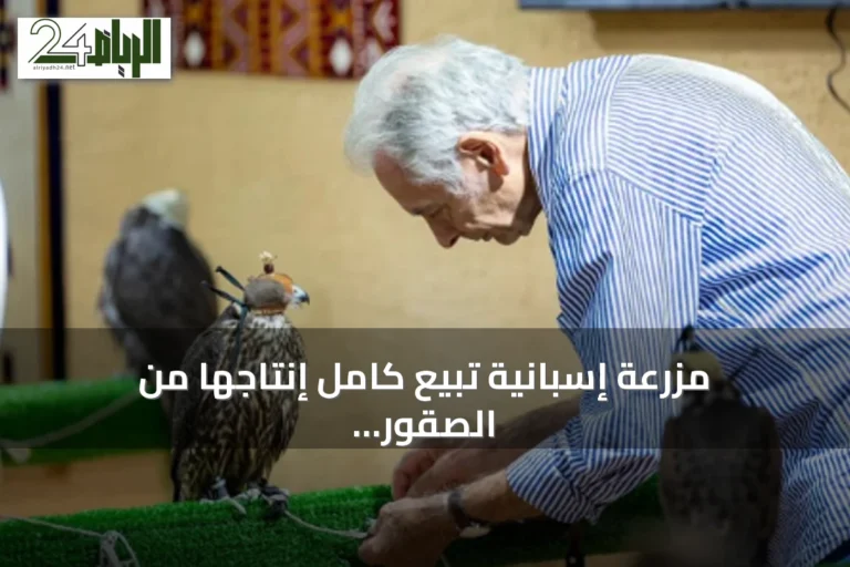 مزرعة إسبانية تبيع كامل إنتاجها من الصقور في اليوم الأول من المزاد الدولي 2026