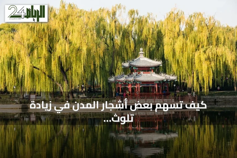 كيف تسهم بعض أشجار المدن في زيادة تلوث الأوزون بدلًا من تنقيته