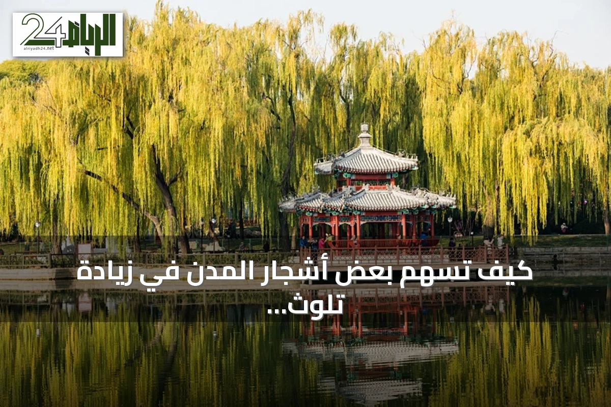 كيف تسهم بعض أشجار المدن في زيادة تلوث الأوزون بدلًا من تنقيته
