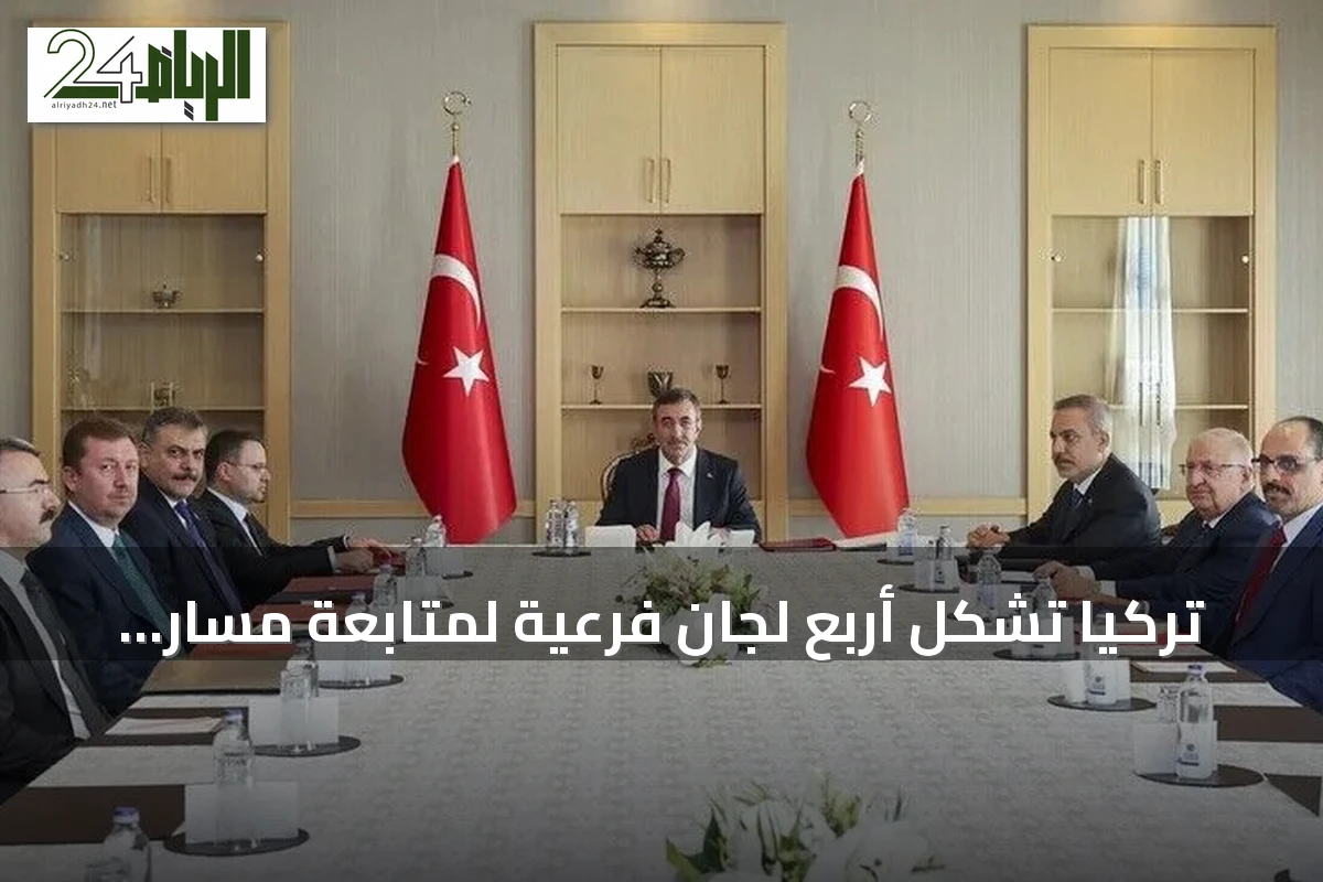 تركيا تشكل أربع لجان فرعية لمتابعة مسار "تركيا بلا إرهاب" بعد إقرار قانون التضامن الوطني