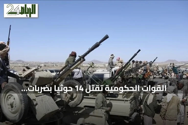 القوات الحكومية تقتل 14 حوثياً بضربات جنوب الحديدة ومجلس القيادة يوافق على إجراءات ردع