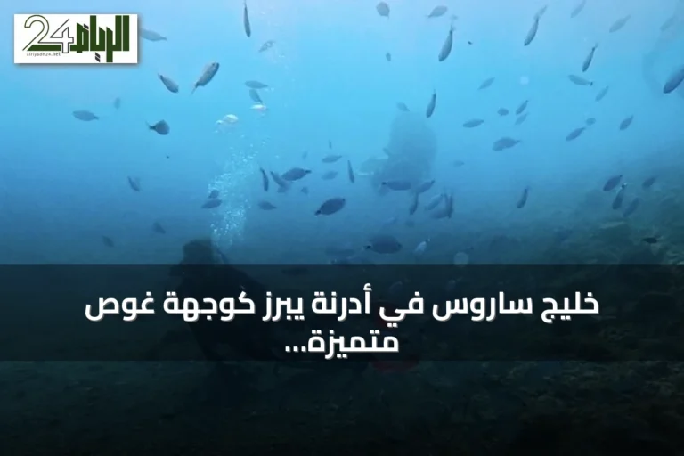 خليج ساروس في أدرنة يبرز كوجهة غوص متميزة في تركيا
