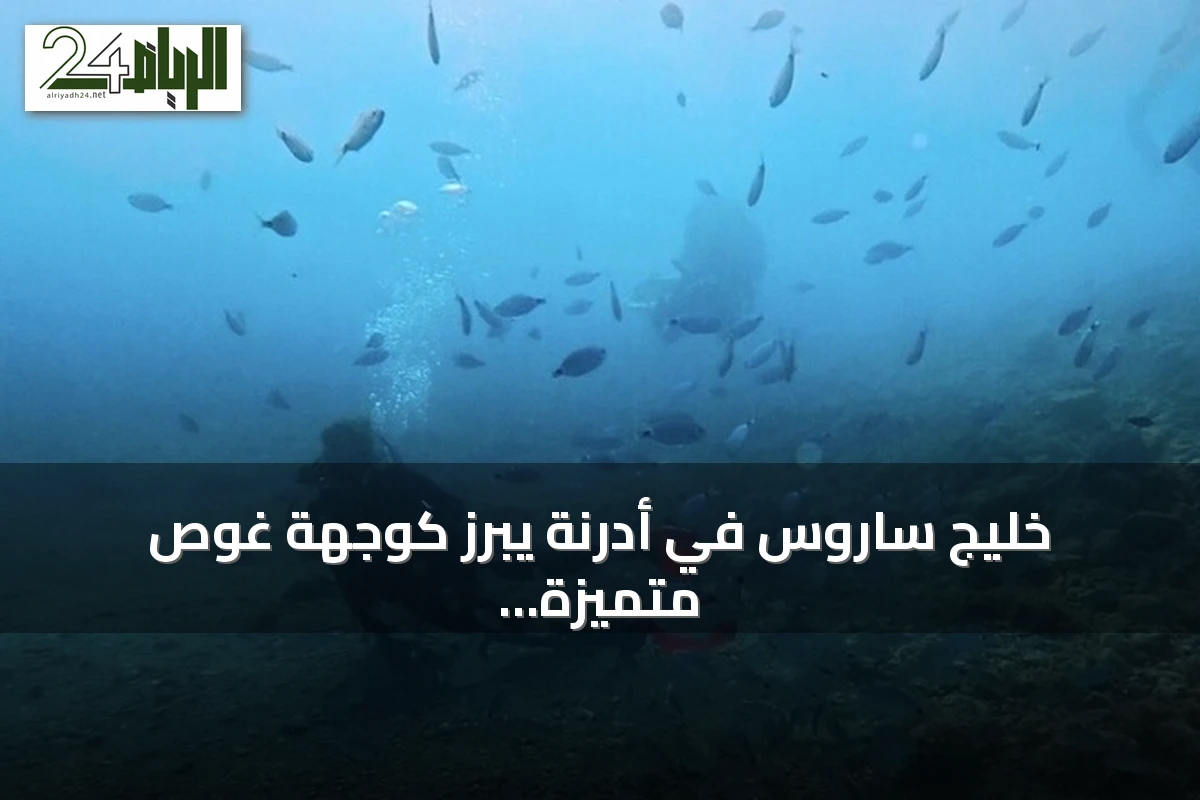خليج ساروس في أدرنة يبرز كوجهة غوص متميزة في تركيا