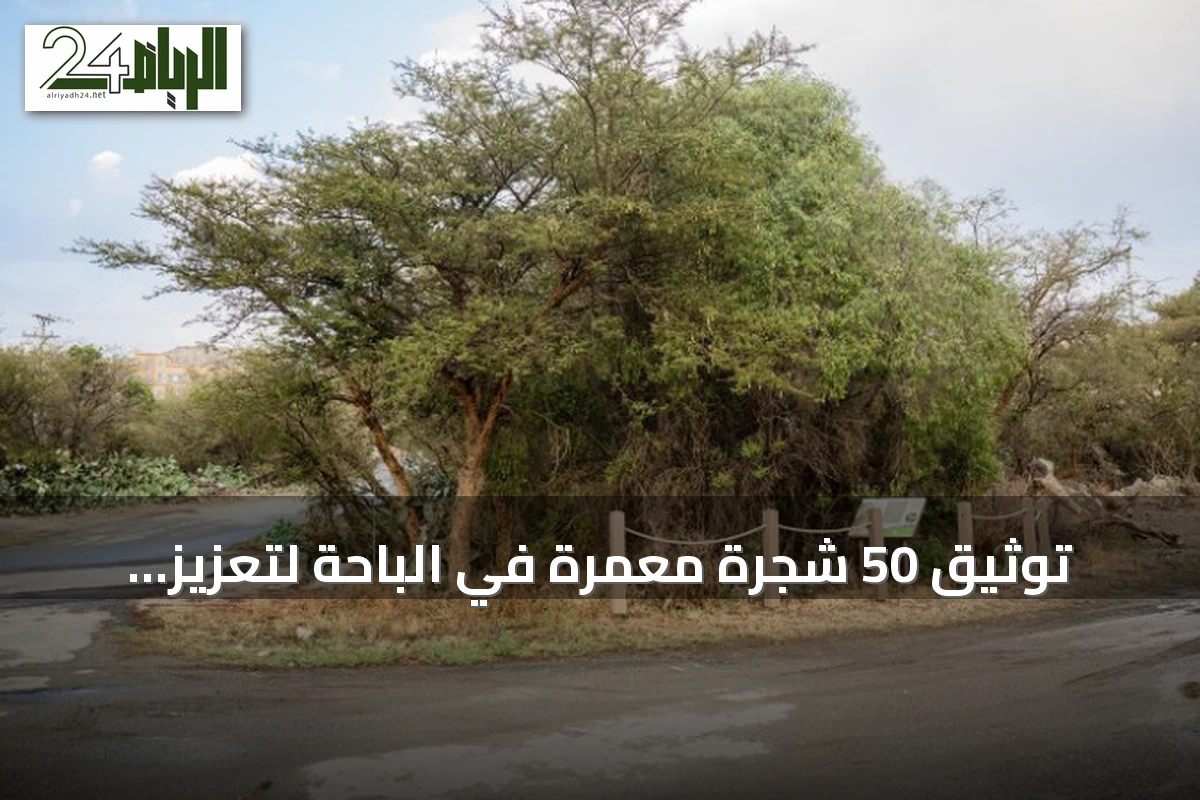 توثيق 50 شجرة معمّرة في الباحة لتعزيز التنوع النباتي وحماية الموارد الطبيعية