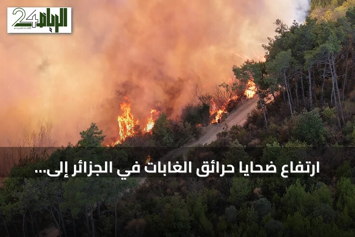 ارتفاع ضحايا حرائق الغابات في الجزائر إلى 12 وفاة
