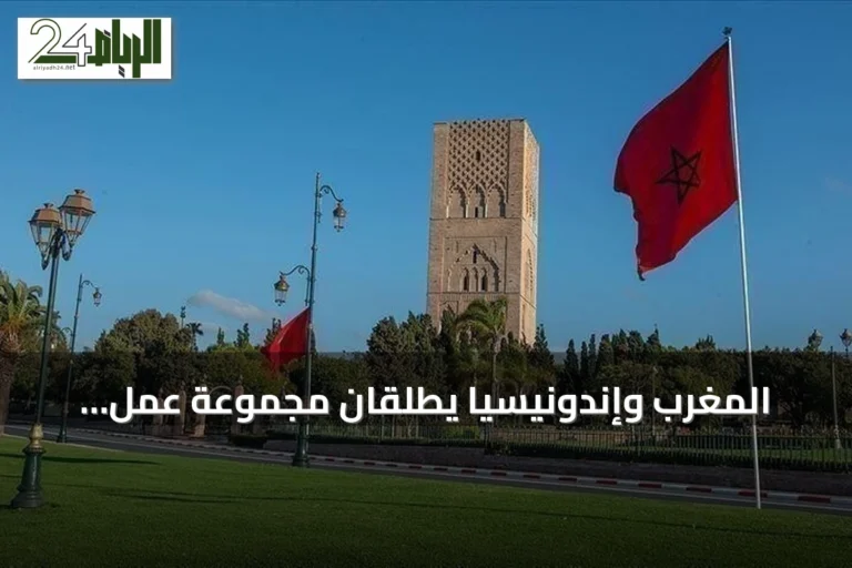 المغرب وإندونيسيا يطلِقان مجموعة عمل لتعزيز الشراكة الاقتصادية