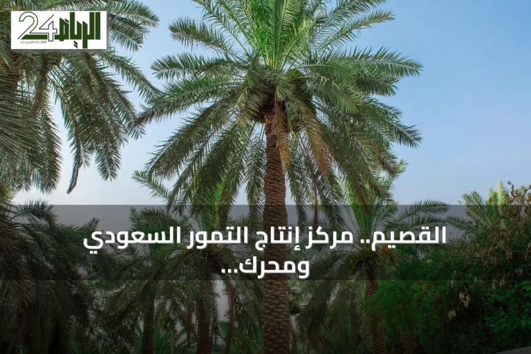 القصيم.. مركز إنتاج التمور السعودي ومحرك نموه الاقتصادي