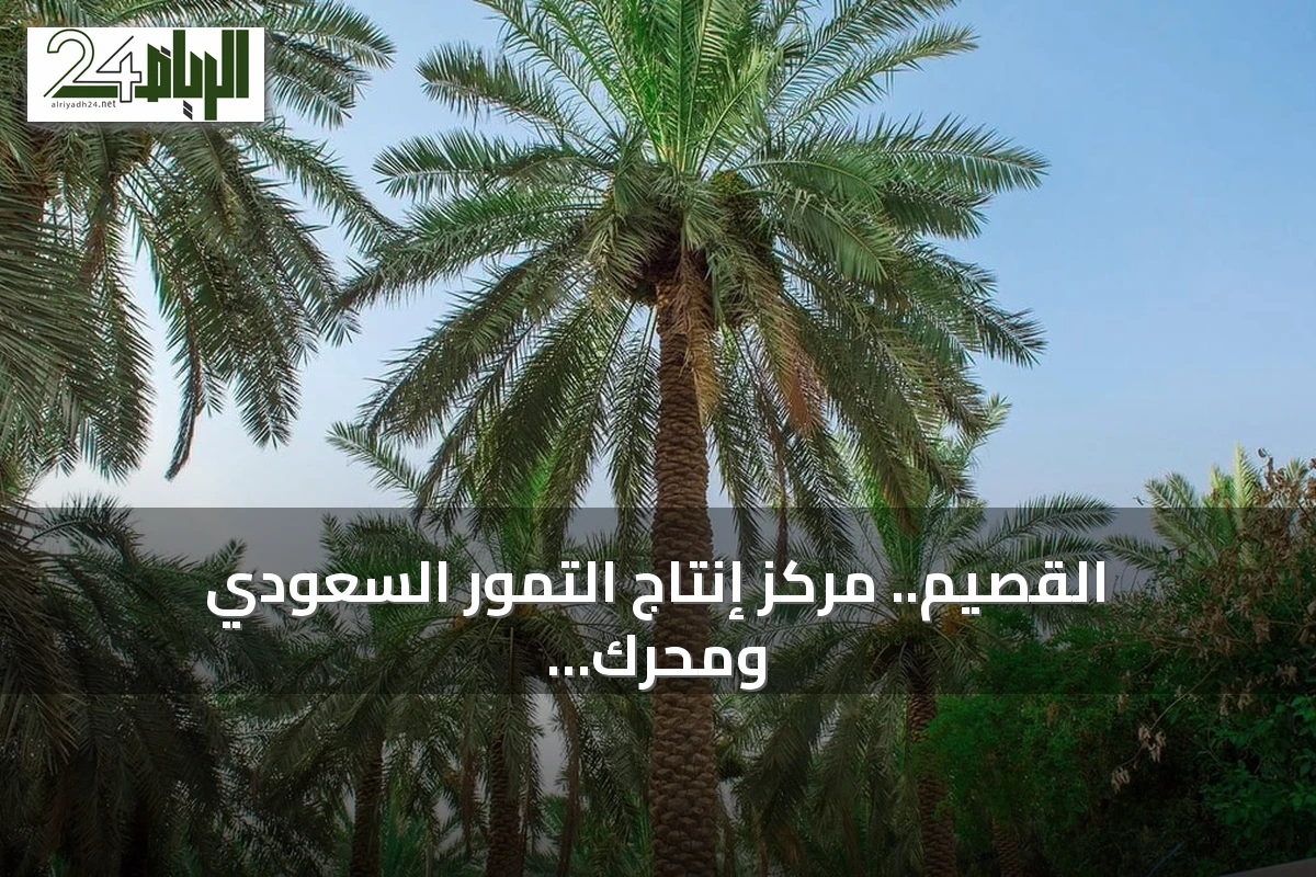 القصيم.. مركز إنتاج التمور السعودي ومحرك نموه الاقتصادي