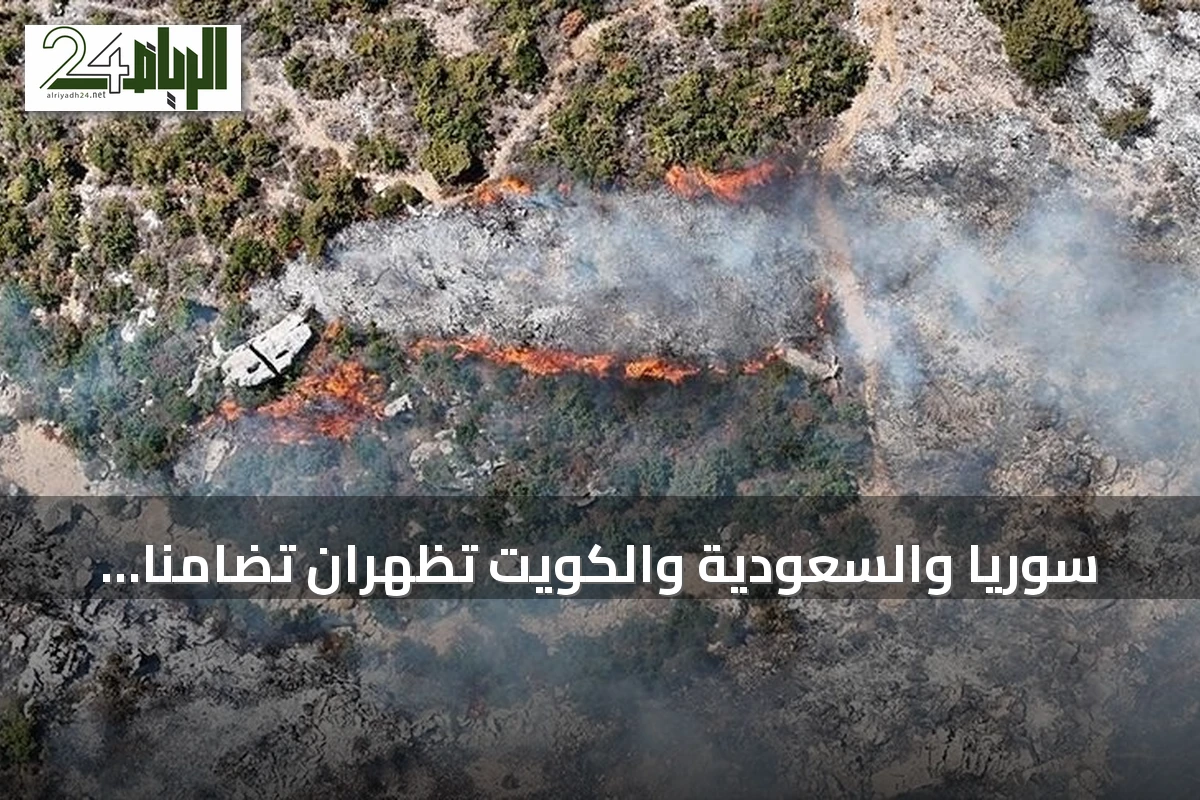 سوريا والسعودية والكويت تُظهران تضامناً مع الجزائر بعد حرائق الغابات