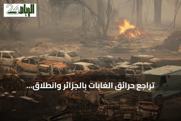 تراجع حرائق الغابات بالجزائر وانطلاق قوافل تضامنية نحو جيجل