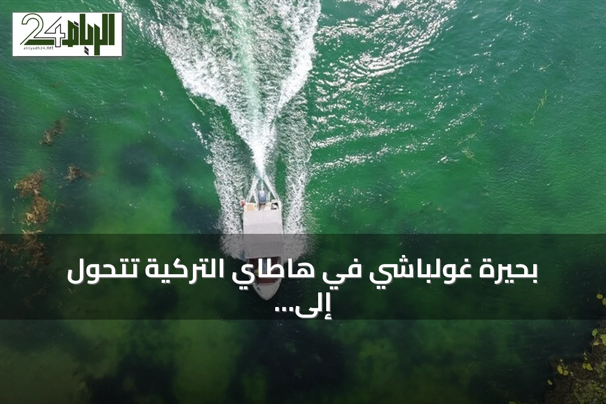 بحيرة غولباشي في هاطاي التركية تتحول إلى لوحة خضراء بفضل زنابق الماء
