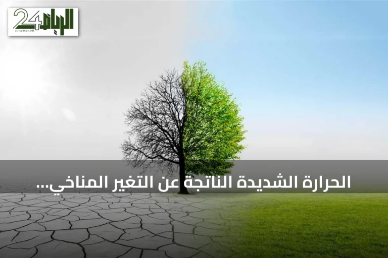 الحرارة الشديدة الناتجة عن التغير المناخي تسبب نحو 489 ألف وفاة سنويًا وتفاقم الأمراض