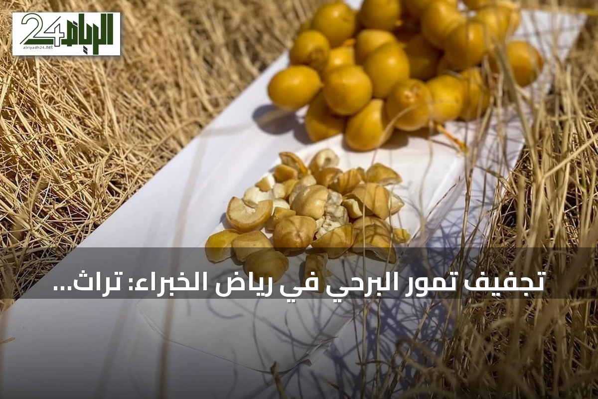 تجفيف تمور البرحي في رياض الخبراء: تراث يحافظ على المحصول