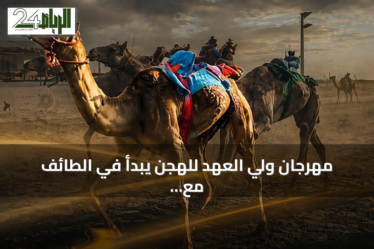 مهرجان ولي العهد للهجن يبدأ في الطائف مع أول مشاركة لأشواط المزاين
