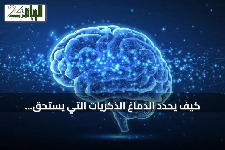 كيف يحدد الدماغ الذكريات التي يستحق الاحتفاظ بها؟ دراسة تكشف دور موجات ثيتا والنوم