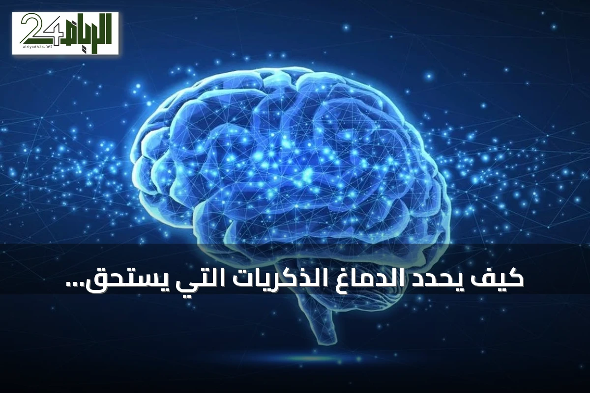 كيف يحدد الدماغ الذكريات التي يستحق الاحتفاظ بها؟ دراسة تكشف دور موجات ثيتا والنوم