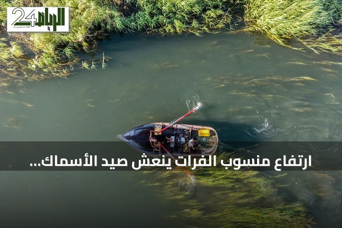 ارتفاع منسوب الفرات ينعش صيد الأسماك وسوقها في الرقة