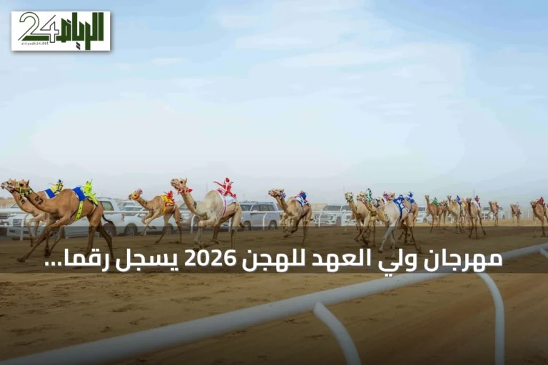 مهرجان ولي العهد للهجن 2026 يسجل رقماً قياسياً في مشاركة أشواط إنتاج السعودية