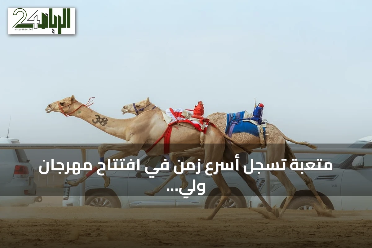 متعبة تسجل أسرع زمن في افتتاح مهرجان ولي العهد للهجن بالطائف