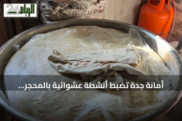 أمانة جدة تضبط أنشطة عشوائية بالمحجر وتحجز أطنانًا من الأغذية ودجاجات