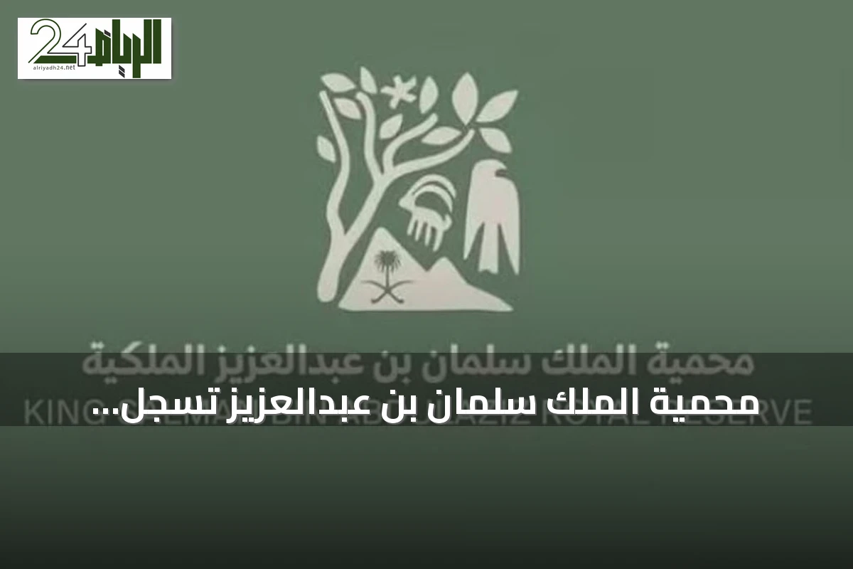 محمية الملك سلمان بن عبدالعزيز تسجل إنجازات غير مسبوقة في إحياء أعداد النسور