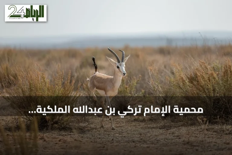محمية الإمام تركي بن عبدالله الملكية: ثراء بيئي وتنوع تضاريسي في شمال شرق المملكة