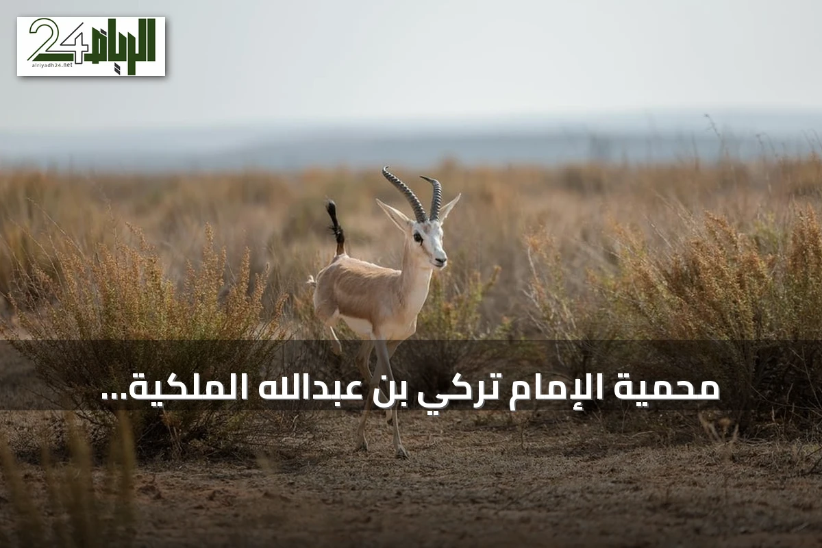 محمية الإمام تركي بن عبدالله الملكية: ثراء بيئي وتنوع تضاريسي في شمال شرق المملكة