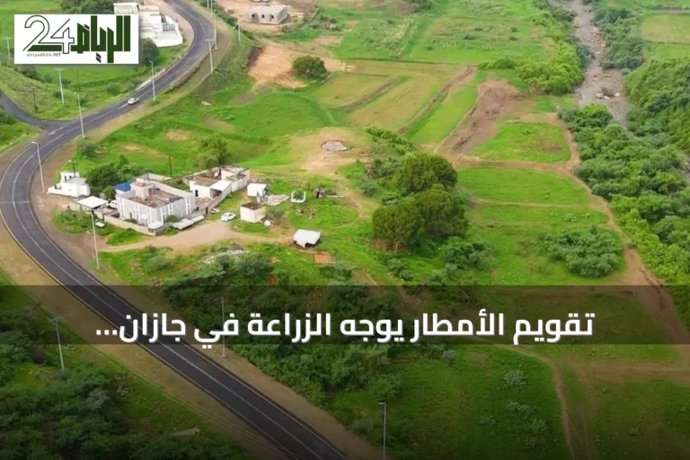 تقويم الأمطار يوجه الزراعة في جازان.. تراث يتجدد مع كل موسم حصاد