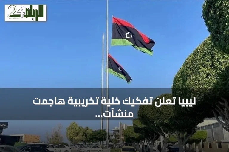 ليبيا تعلن تفكيك خلية تخريبية هاجمت منشآت نفطية وكهربائية بطائرات مسيّرة انتحارية