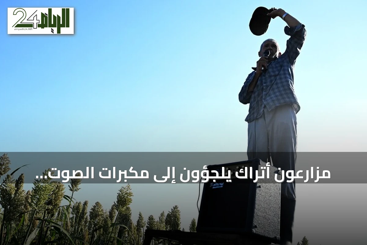 مزارعون أتراك يلجؤون إلى مكبرات الصوت لحماية حقول الدخن من هجمات العصافير