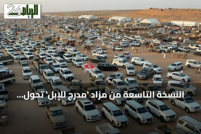 النسخة التاسعة من مزاد 'مدرج للإبل' تحوّل القصيم إلى ساحة تجارية نشطة