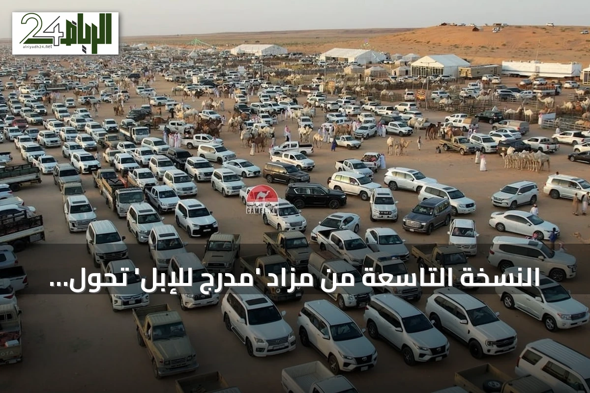 النسخة التاسعة من مزاد 'مدرج للإبل' تحوّل القصيم إلى ساحة تجارية نشطة