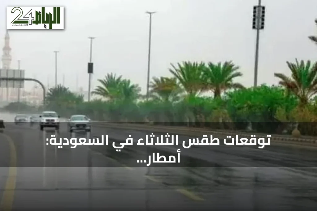 توقعات طقس الثلاثاء في السعودية: أمطار رعدية غزيرة وزخات برد مع رياح نشطة