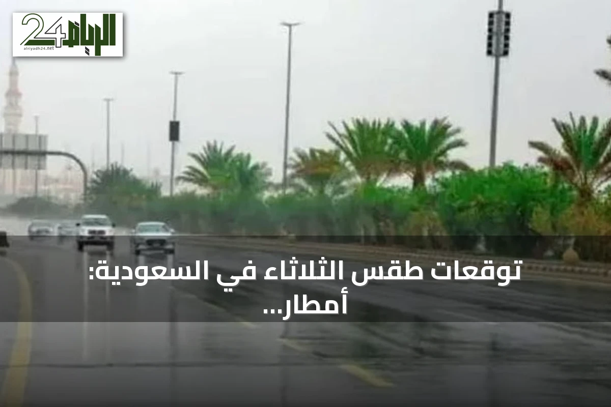توقعات طقس الثلاثاء في السعودية: أمطار رعدية غزيرة وزخات برد مع رياح نشطة