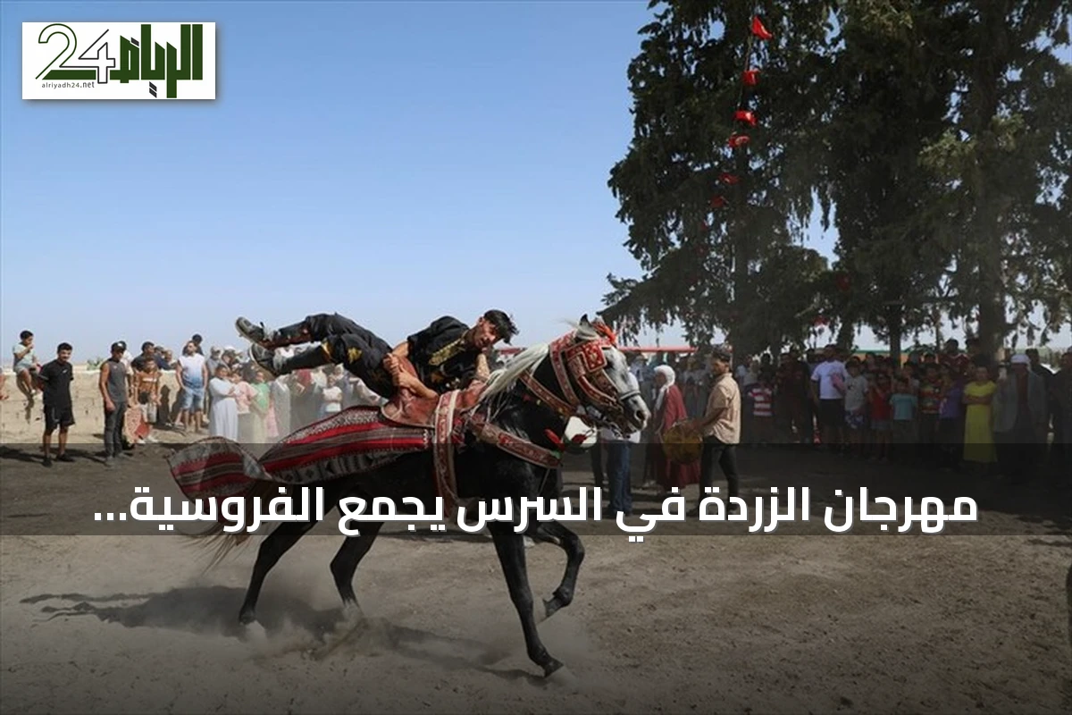 مهرجان الزردة في السرس يجمع الفروسية والولائم بعد حصاد القمح