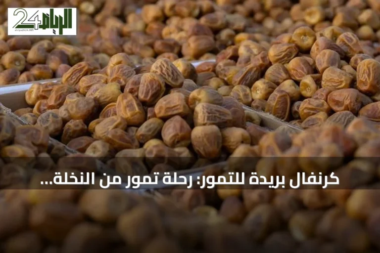 كرنفال بريدة للتمور: رحلة تمور من النخلة إلى الأسواق