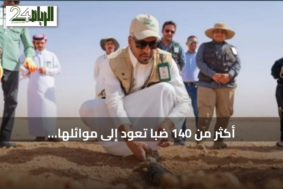 أكثر من 140 ضبًّا تعود إلى موائلها الطبيعية في محمية الإمام عبدالعزيز بن محمد الملكية