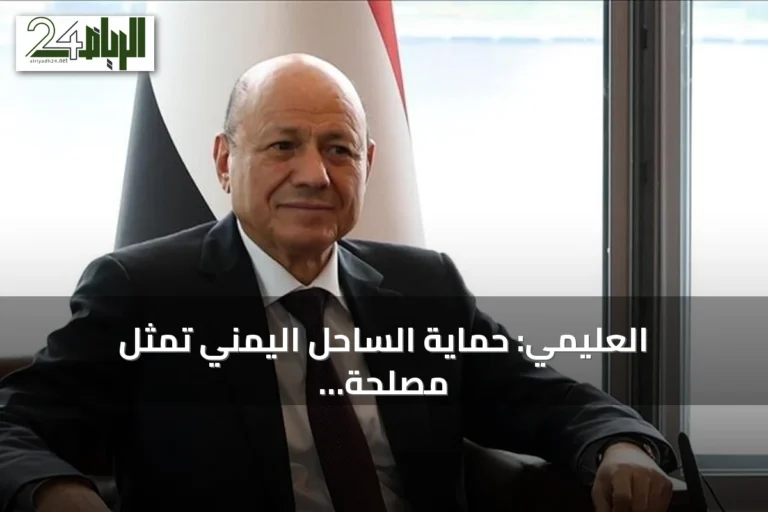 العليمي: حماية الساحل اليمني تمثل مصلحة مشتركة لليمن ومصر والعالم