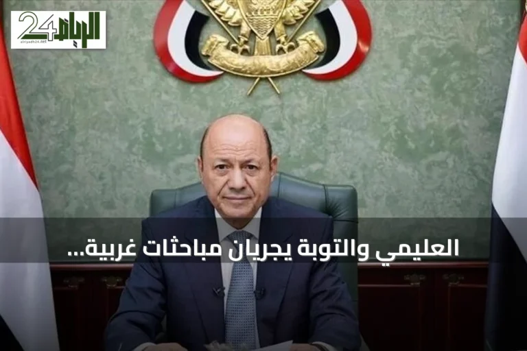 العليمي والتوبة يجريان مباحثات غربية وعربية بعد هجمات الحوثي قرب باب المندب